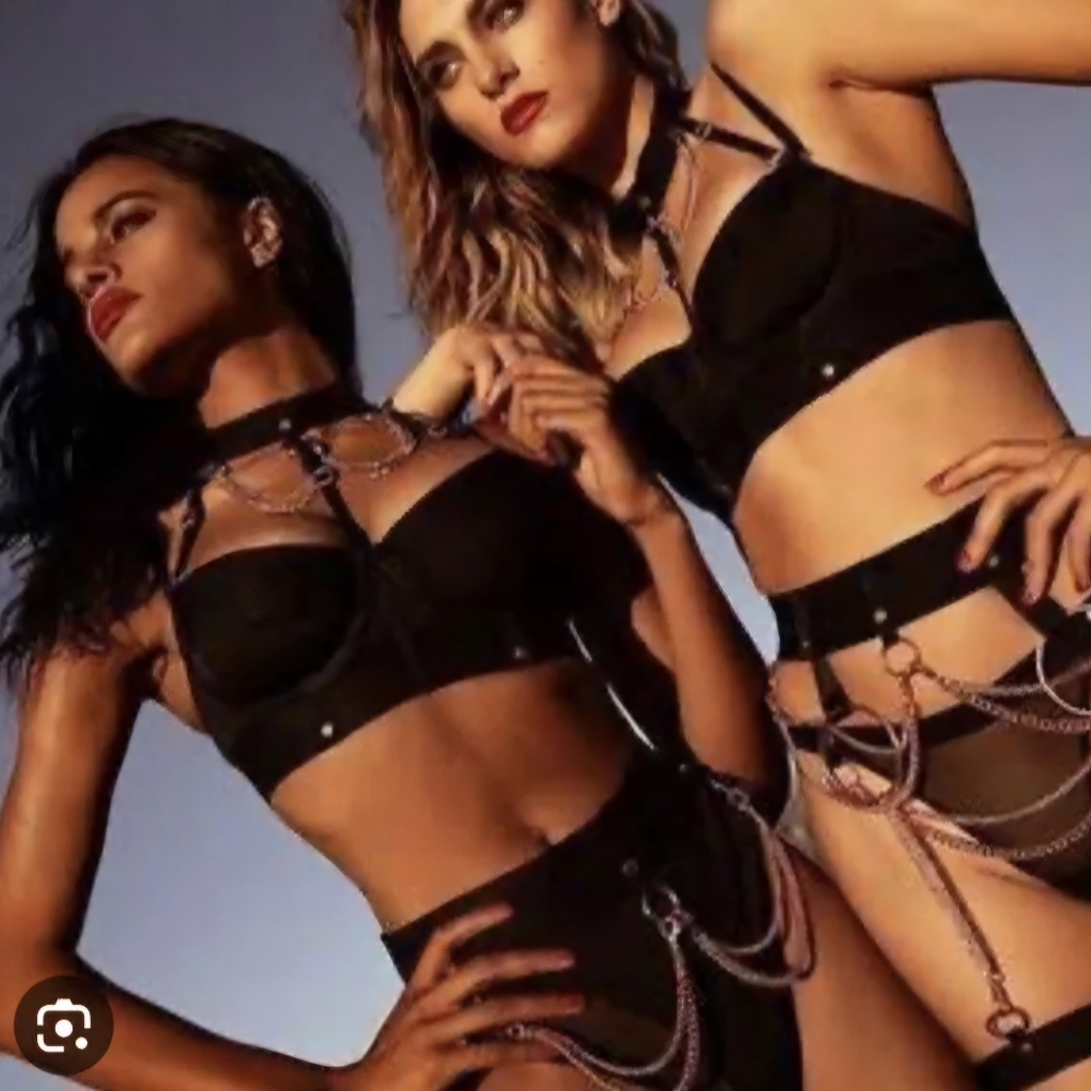 RARE Honey Birdette Black Miss K Brief Size Large NWT